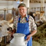 Die Arbeit auf der Milchfarm
