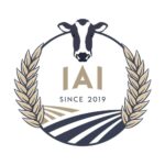IAI (Irland)