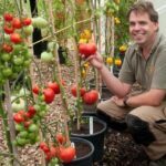 Die Arbeit in der Gartenwirtschaft und Feldwirtshaft